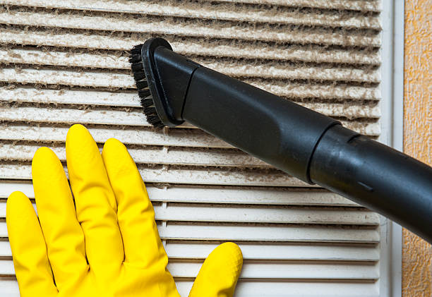 Best Dryer Vent Cleaning Services  in Morgantown, IN